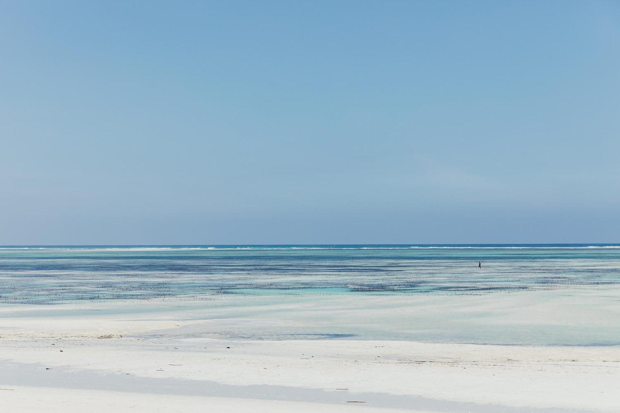 Marijani Beach Resort Pwani Mchangani Zewnętrze zdjęcie